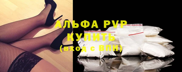 эйфоретик Пересвет