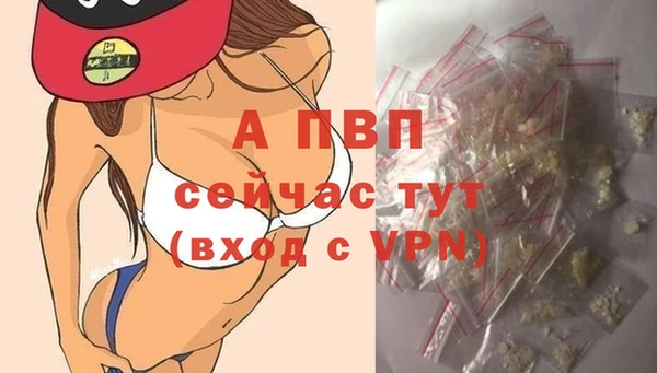 эйфоретик Пересвет