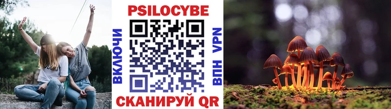 Псилоцибиновые грибы Magic Shrooms  Северобайкальск 