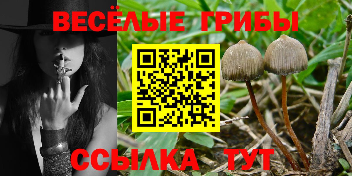 Северобайкальск  Галлюциногенные грибы мухоморы  Вход с VPN 